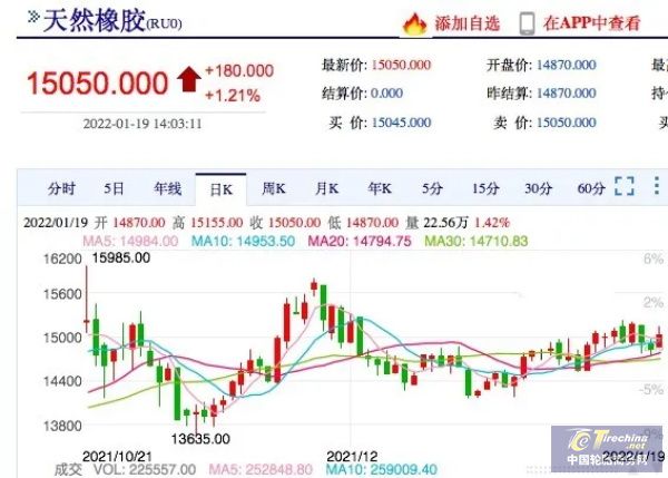 橡膠停割即將開啟，