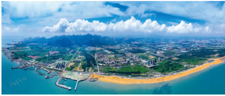 賽輪大手筆！175億元投資董家口新工廠