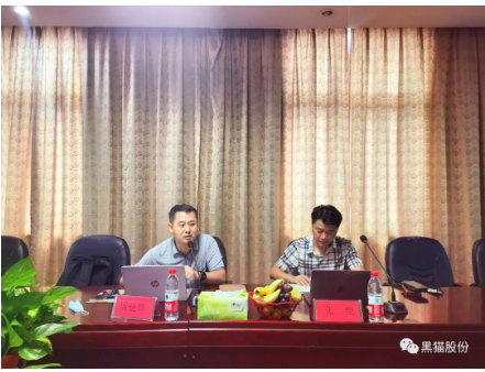 　安徽中鼎做為國內(nèi)最大的汽車橡膠零部件生產(chǎn)、出口企業(yè)，是黑貓股份差異化產(chǎn)品的重要客戶之一，此次評審為安徽中鼎第一次對黑貓公司開展審核活動，也是邯鄲黑貓首次接受差異化產(chǎn)品客戶方審核。